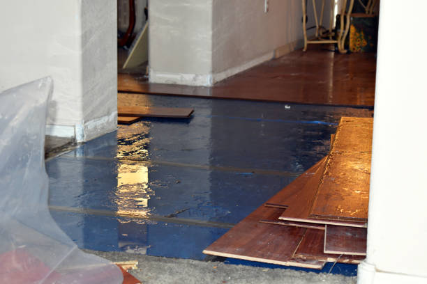 Professional Basement Water Removal technician working in Warnock, OH